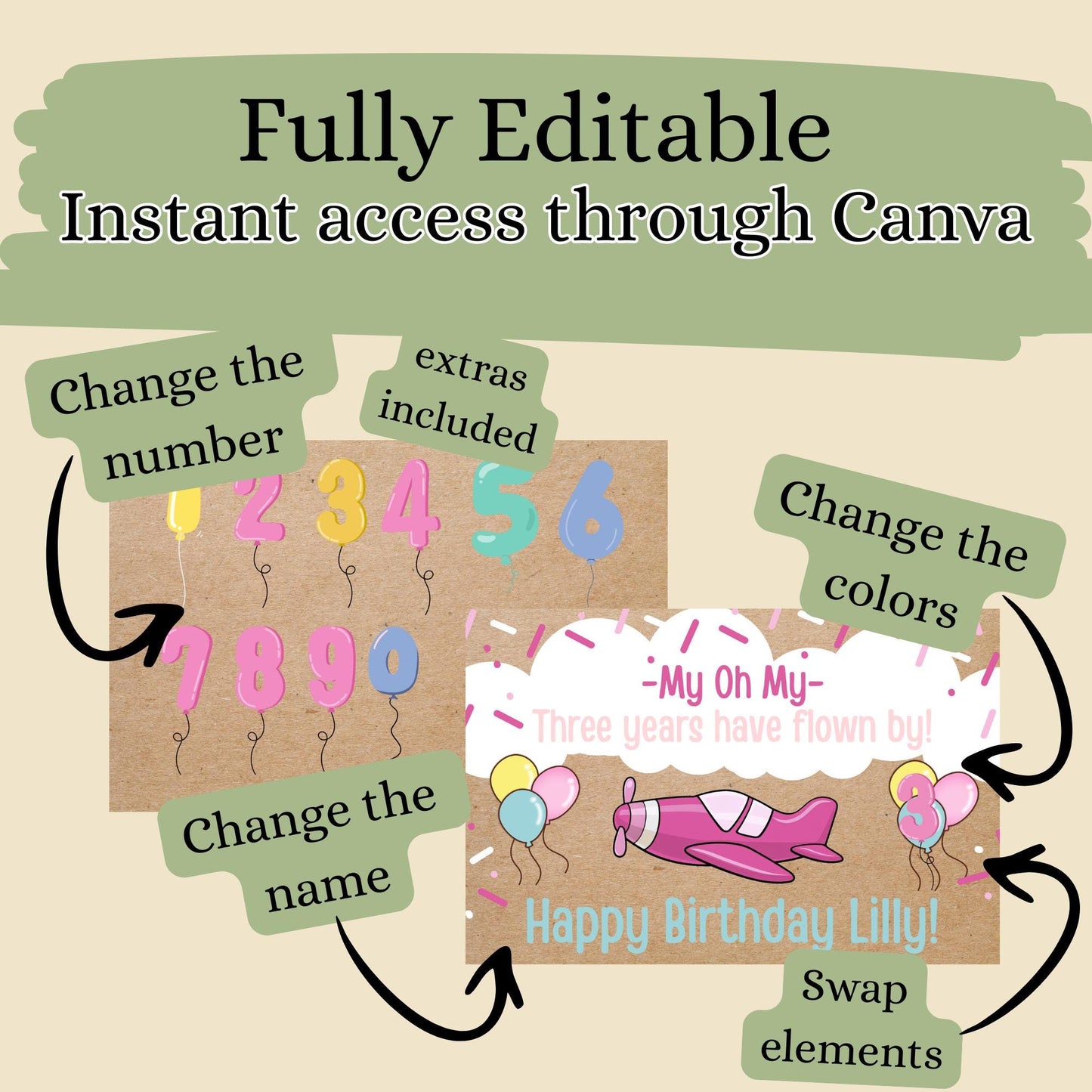 Child Birthday Party Banner, three years have flown by, plane, editable digital cava template
